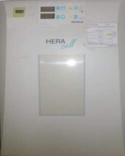 HERAEUS / THERMO FISHER SCIENTIFIC / KENDRO Heracell 150 #9090110
