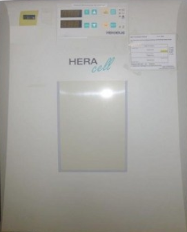 Photo Used HERAEUS / THERMO FISHER SCIENTIFIC / KENDRO Heracell 150 For Sale
