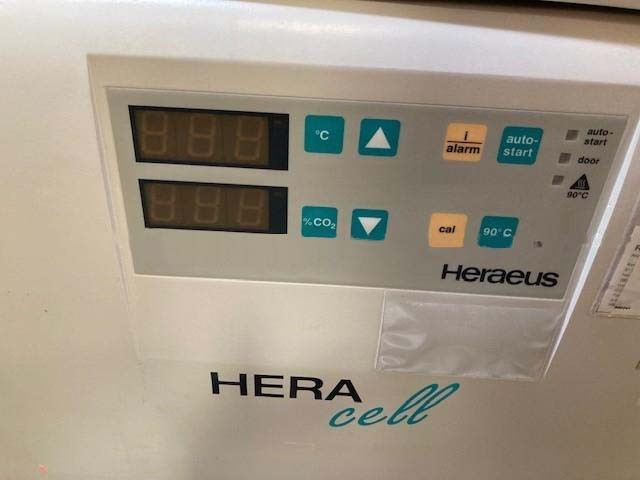 Photo Used HERAEUS / THERMO FISHER SCIENTIFIC / KENDRO Heracell For Sale