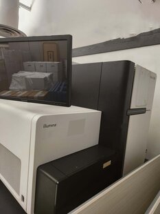 ILLUMINA HiSeq 2500 #293774352
