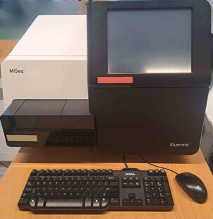 ILLUMINA MiSeq #293750576