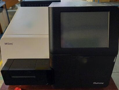 ILLUMINA MiSeq #293815568