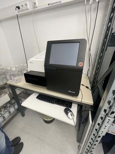 ILLUMINA MiSeq #293831046
