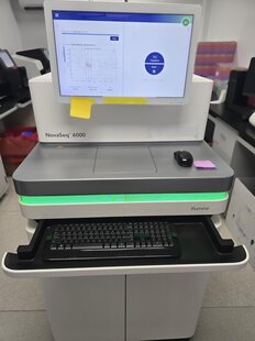 ILLUMINA NovaSeq 6000 #293820485