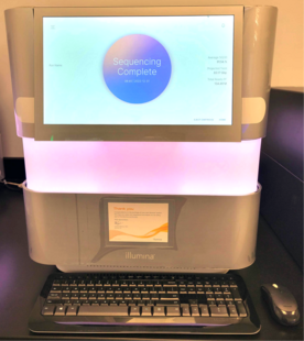 ILLUMINA NovaSeq 6000 #293685777