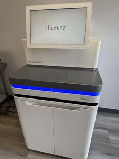 ILLUMINA NovaSeq 6000 #293762455