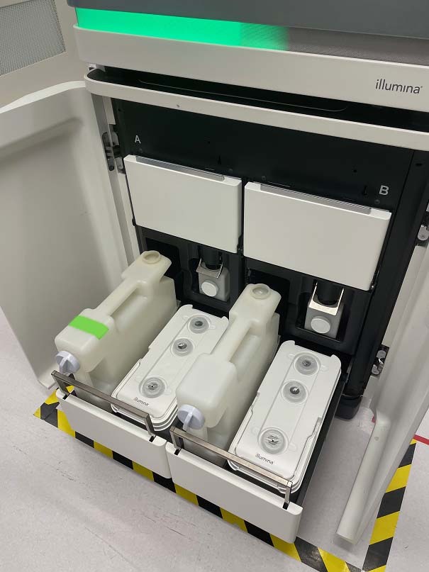 フォト（写真） 使用される ILLUMINA NovaSeq 6000 販売のために