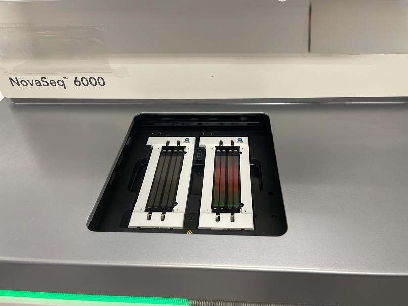 Photo Utilisé ILLUMINA NovaSeq 6000 À vendre