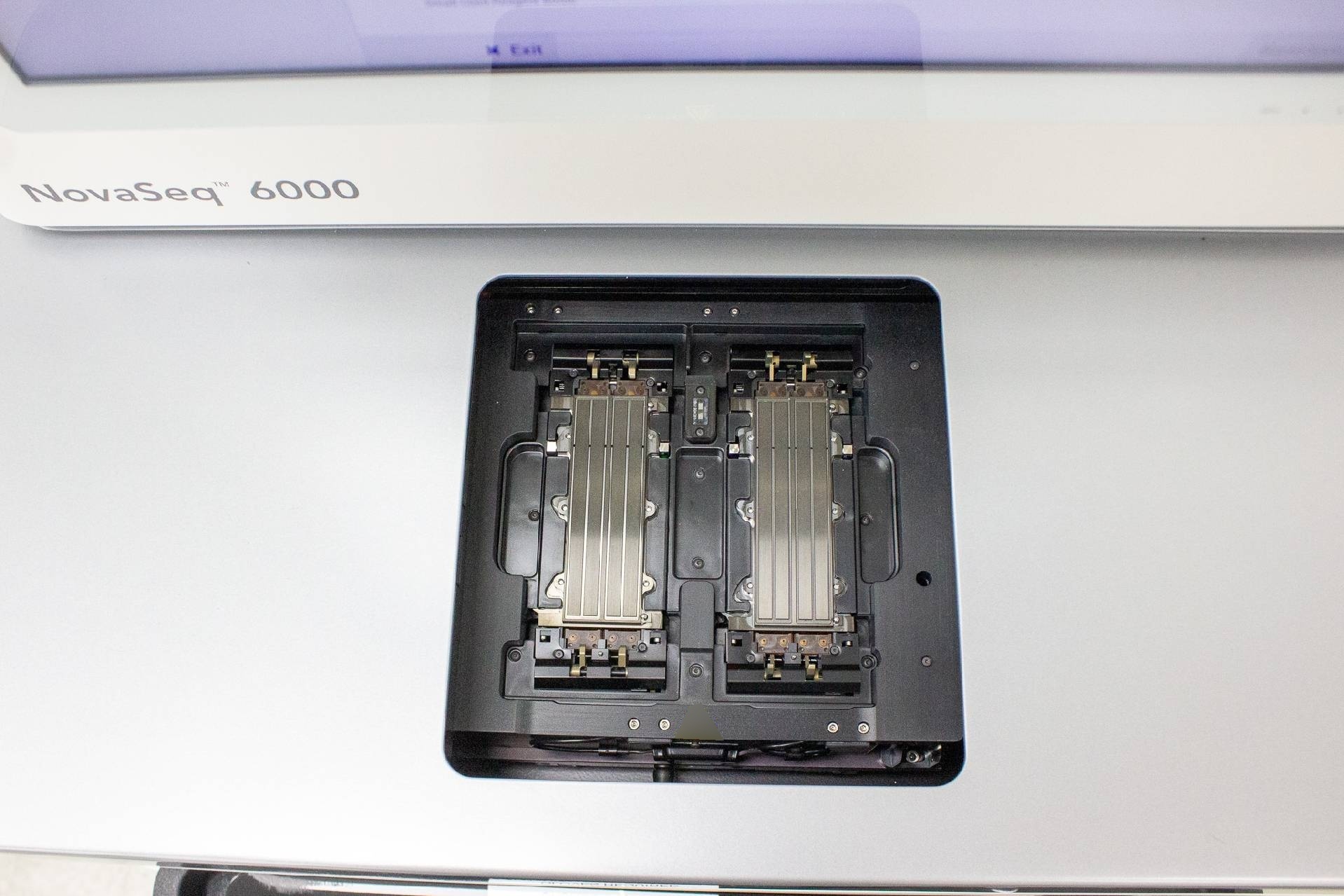 Foto Verwendet ILLUMINA NovaSeq 6000 Zum Verkauf