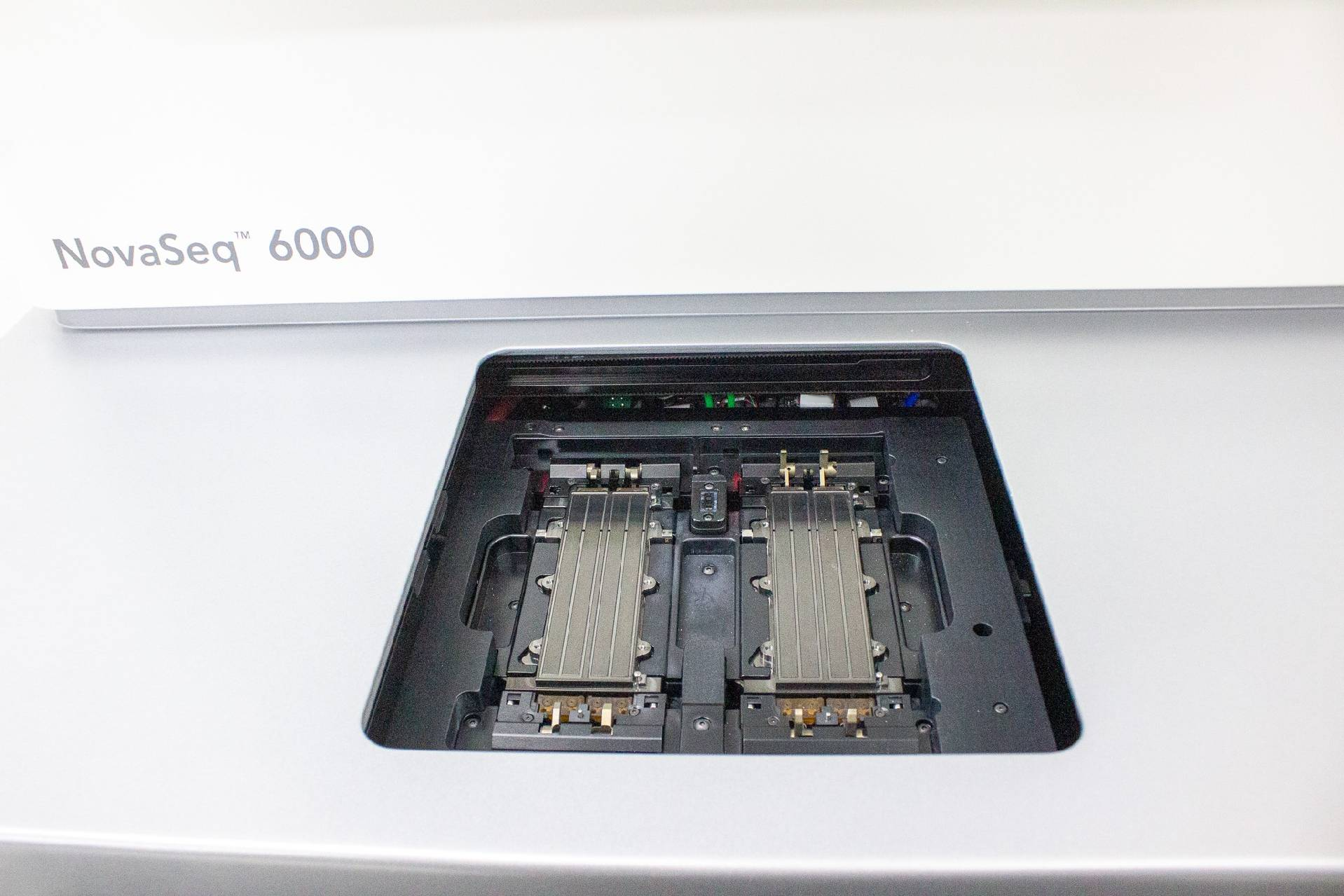 Foto Verwendet ILLUMINA NovaSeq 6000 Zum Verkauf