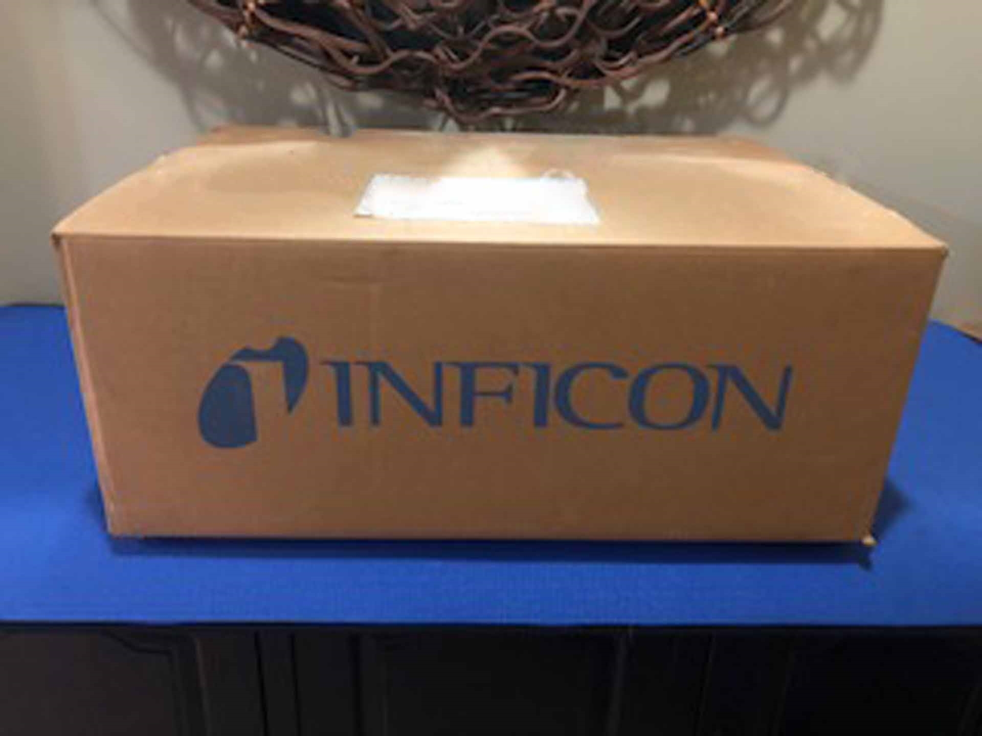 圖為 已使用的 INFICON IC6-111100 待售