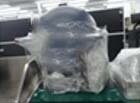 INFICON XTM #293810132