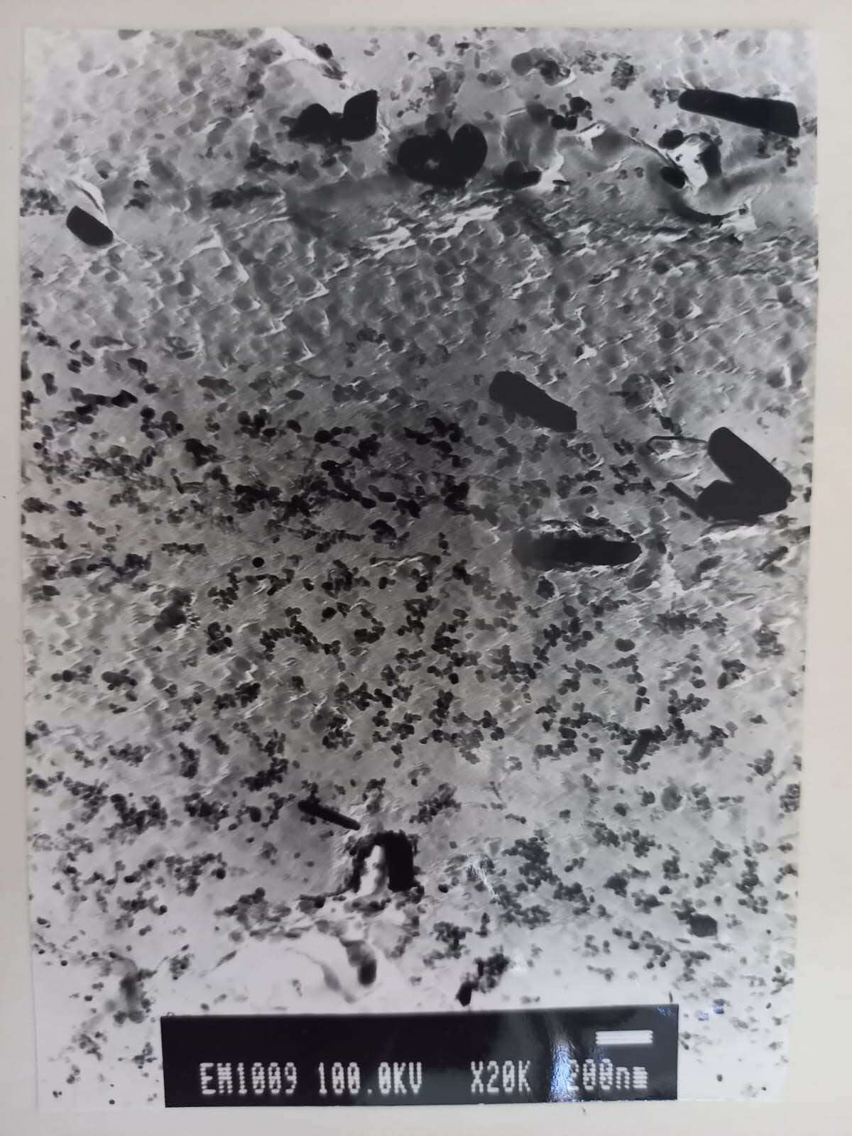 フォト（写真） 使用される JEOL JEM 1200EX 販売のために