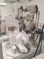 Foto Verwendet JEOL JIB-4700F Zum Verkauf