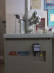 JEOL JSM 5500LV #293679583