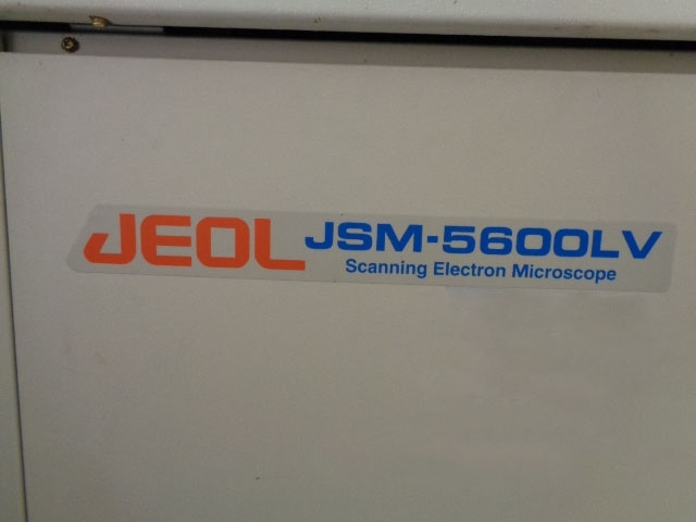 Foto Verwendet JEOL JSM 5600LV Zum Verkauf