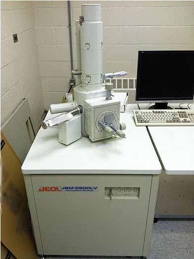 Photo Used JEOL JSM 5600LV For Sale