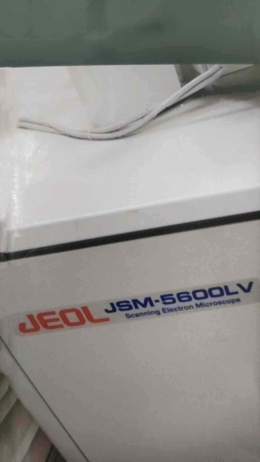 圖為 已使用的 JEOL JSM 5600LV 待售