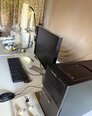 Photo Utilisé JEOL JSM 5600LV À vendre