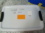 图为 已使用的 KLA / TENCOR Candela CS920 待售