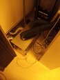 圖為 已使用的 KLA / TENCOR SP1-DLS-TQM 待售