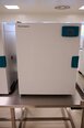 Foto Verwendet LAB COMPANION Incubator Zum Verkauf