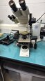 图为 已使用的 LEICA DM 2500 待售