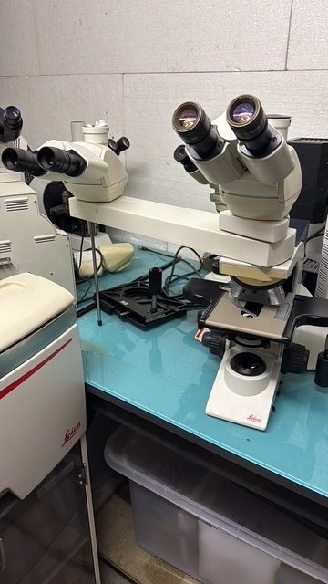 图为 已使用的 LEICA DM 2500 待售