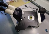 圖為 已使用的 LEICA DM 3000M 待售