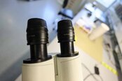 圖為 已使用的 LEICA DM 3000M 待售