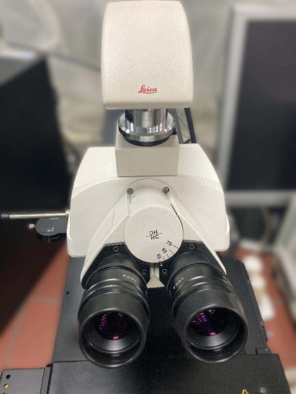 Photo Used LEICA DM 4000 For Sale