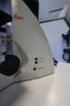 图为 已使用的 LEICA DM 4000M 待售