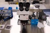 LEICA Inspection microscope