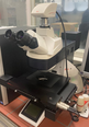 LEICA Microscope