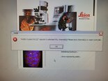 圖為 已使用的 LEICA TCS SP2 待售