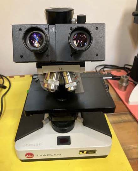 사진 사용됨 LEITZ / LEICA Diaplan 판매용