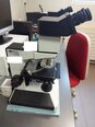 사진 사용됨 LEITZ / LEICA Laborlux S 판매용