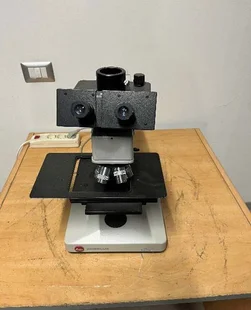 KIYOページ Project: Kyosho Lazer ZX