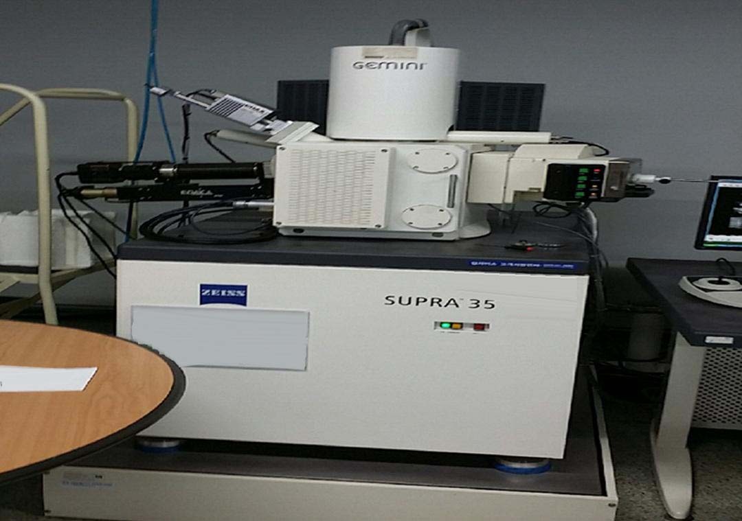 图为 已使用的 LEO / ZEISS Supra 35 待售