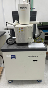 LEO / ZEISS Supra 40 #293808489