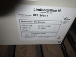 图为 已使用的 LINDBERG / BLUE M BF51866A-1 待售