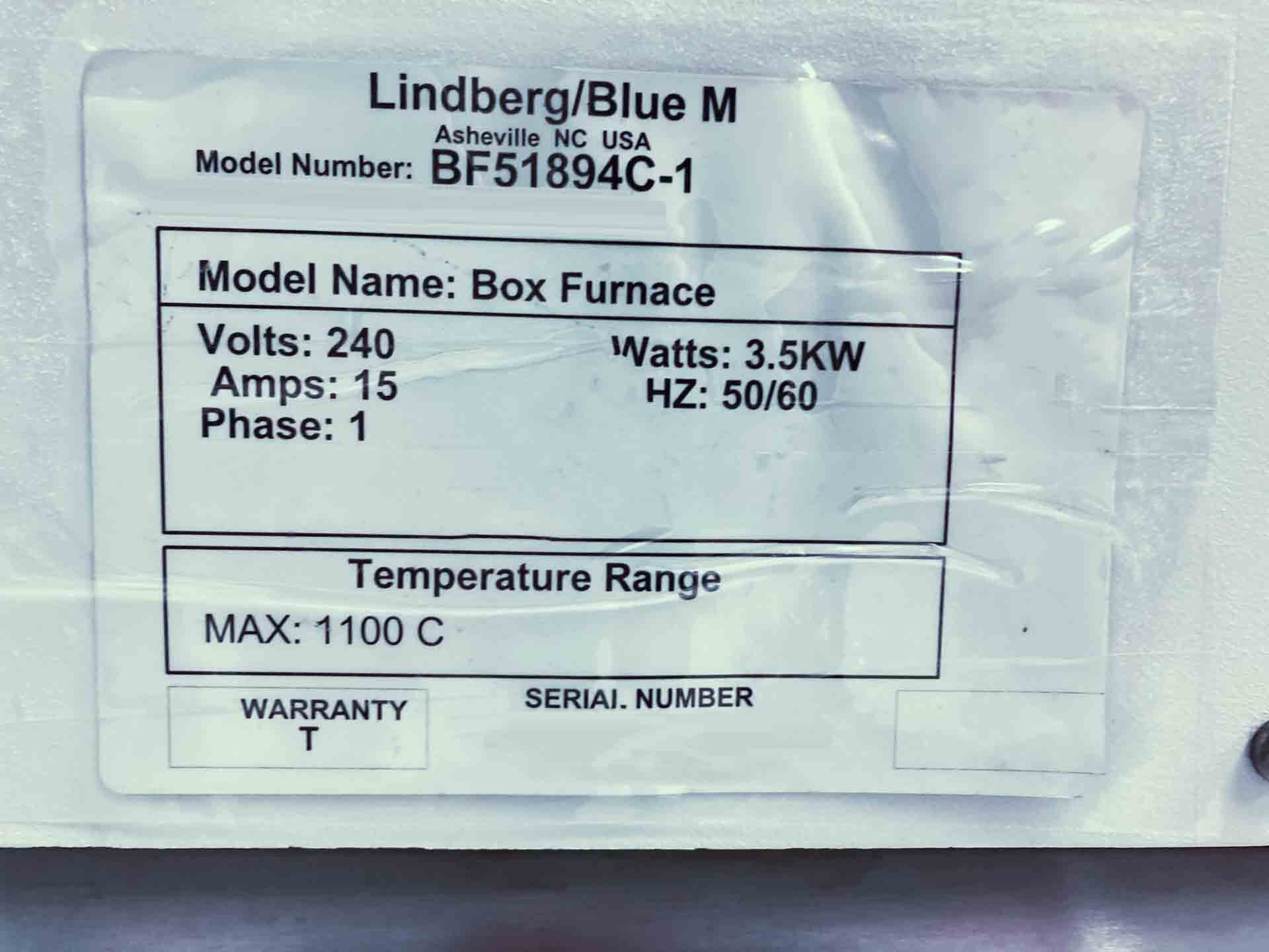 圖為 已使用的 LINDBERG / BLUE M BF51894C-1 待售