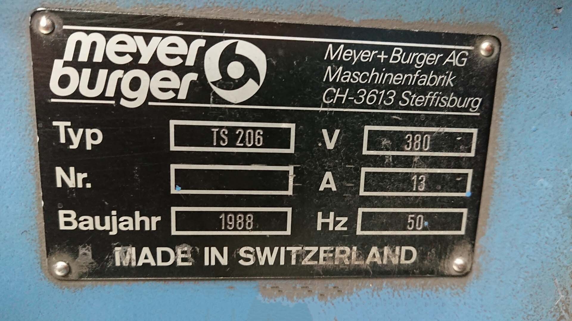 Photo Used MEYER BURGER TS 206 For Sale
