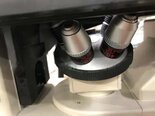 フォト（写真） 使用される NIKON Diaphot 販売のために