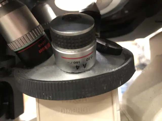 フォト（写真） 使用される NIKON Diaphot 販売のために