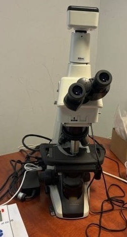 사진 사용됨 NIKON Eclipse E 200 판매용