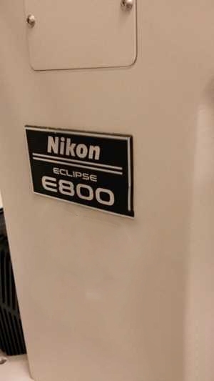 圖為 已使用的 NIKON Eclipse E 800 待售