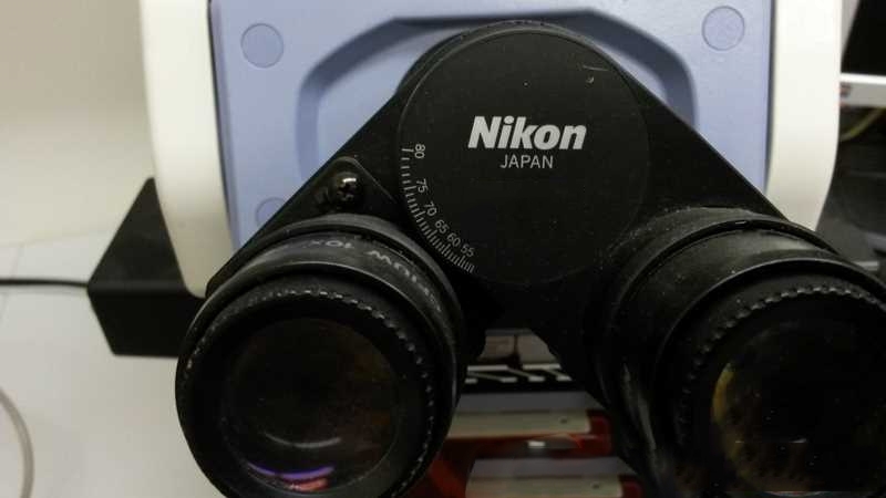 フォト（写真） 使用される NIKON Eclipse E 800 販売のために
