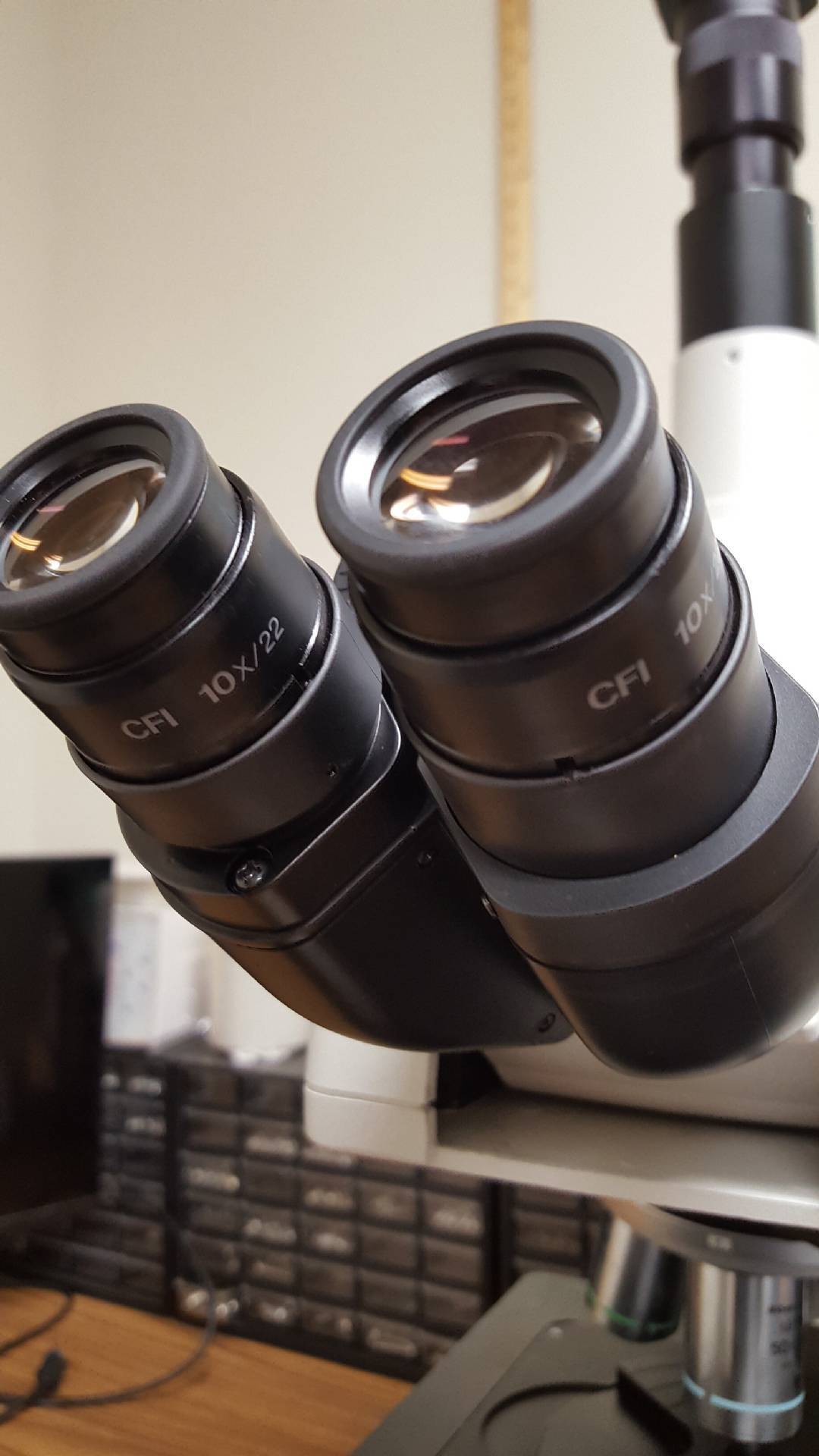 Foto Verwendet NIKON Eclipse L200 Zum Verkauf