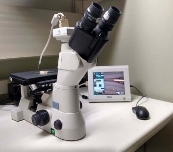 Nikon Eclipse Ma100 Microscope Used For Sale Price Buy From Cae